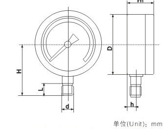 YTS-100、150耐酸压力表CAD图