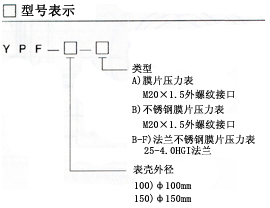 YPF系列膜片压力表型号表示