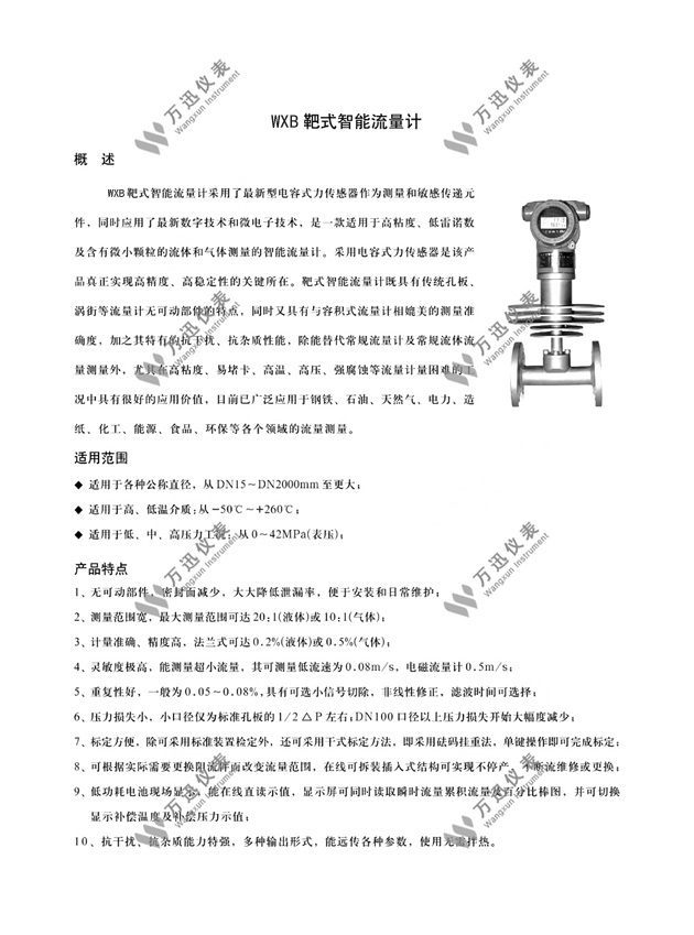B靶式智能流量计概述图