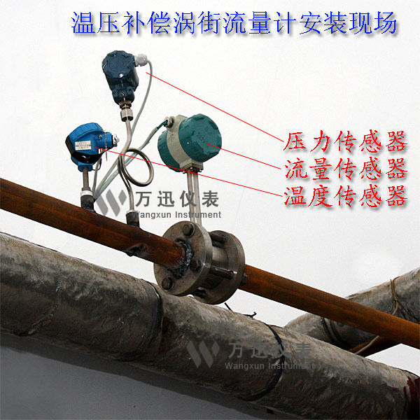 涡街流量计现场安装现场